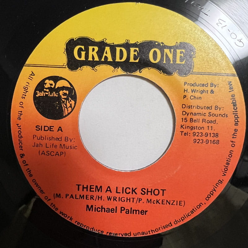 MICHAEL PALMER / THEM A LICK SHOT