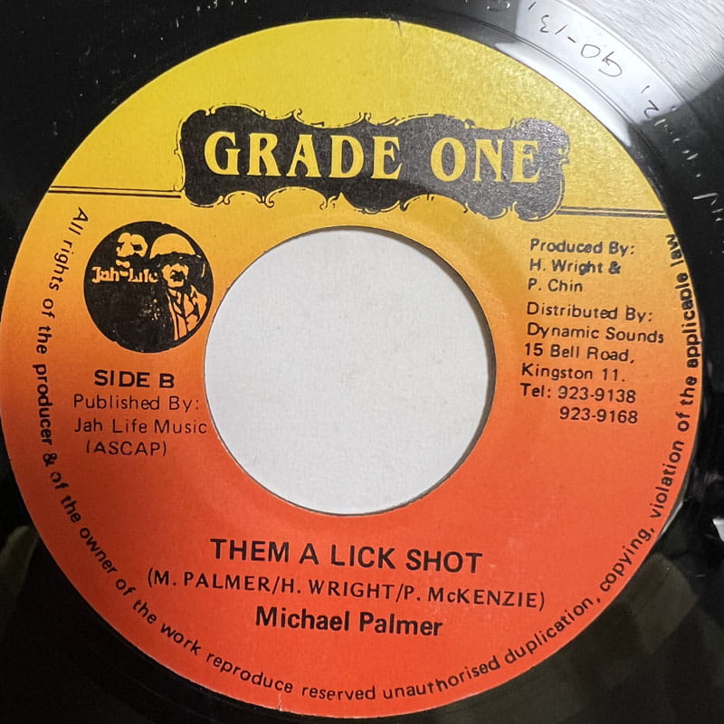 MICHAEL PALMER / THEM A LICK SHOT