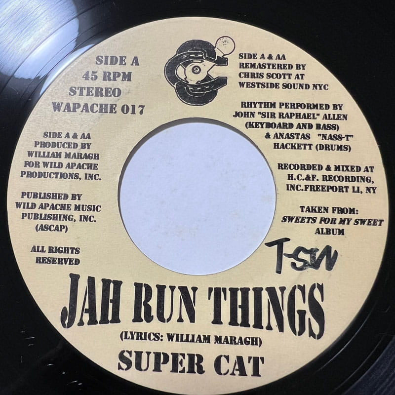 SUPER CAT / JAH RUN THINGS - THEM NO CARE