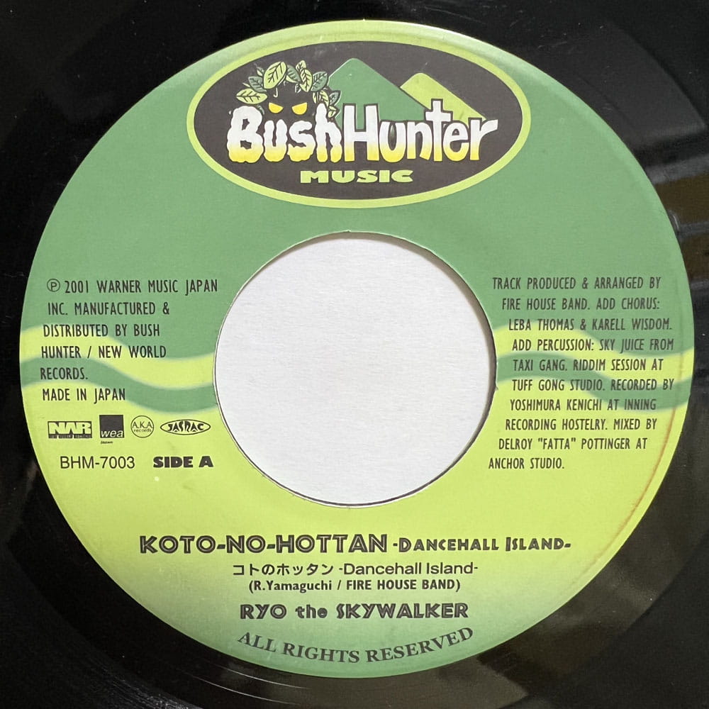 RYO THE SKYWALKER / KOTO-NO-HOTTAN