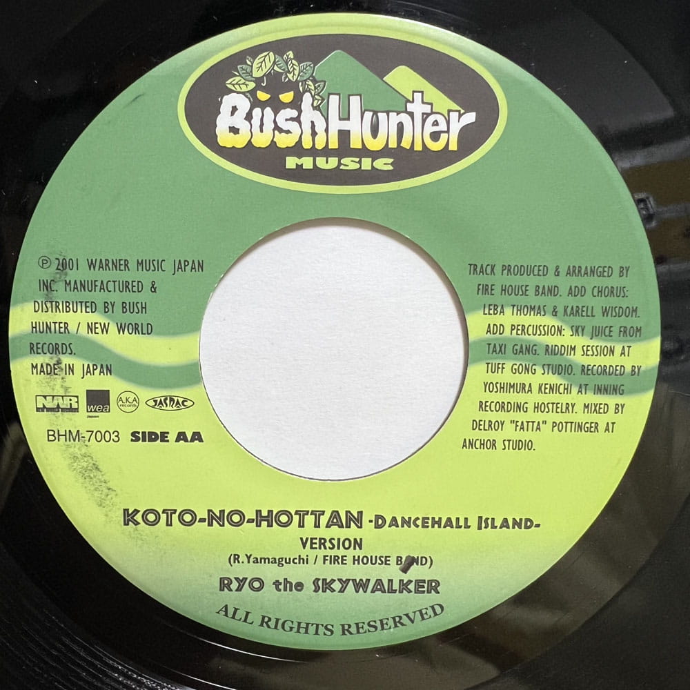 RYO THE SKYWALKER / KOTO-NO-HOTTAN