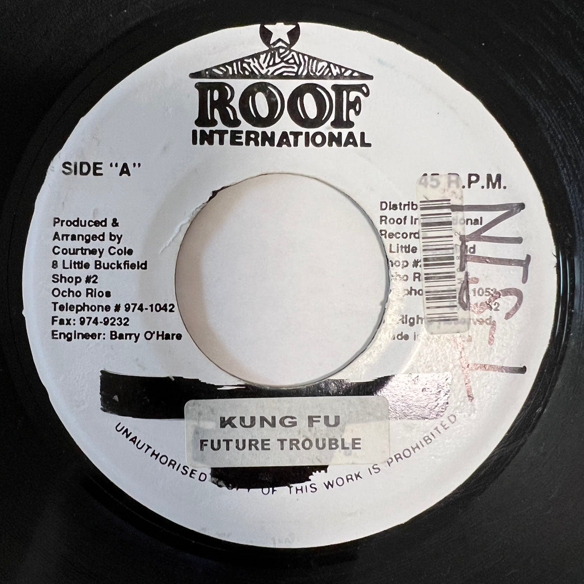 FUTURE TROUBLE / KUNG FU