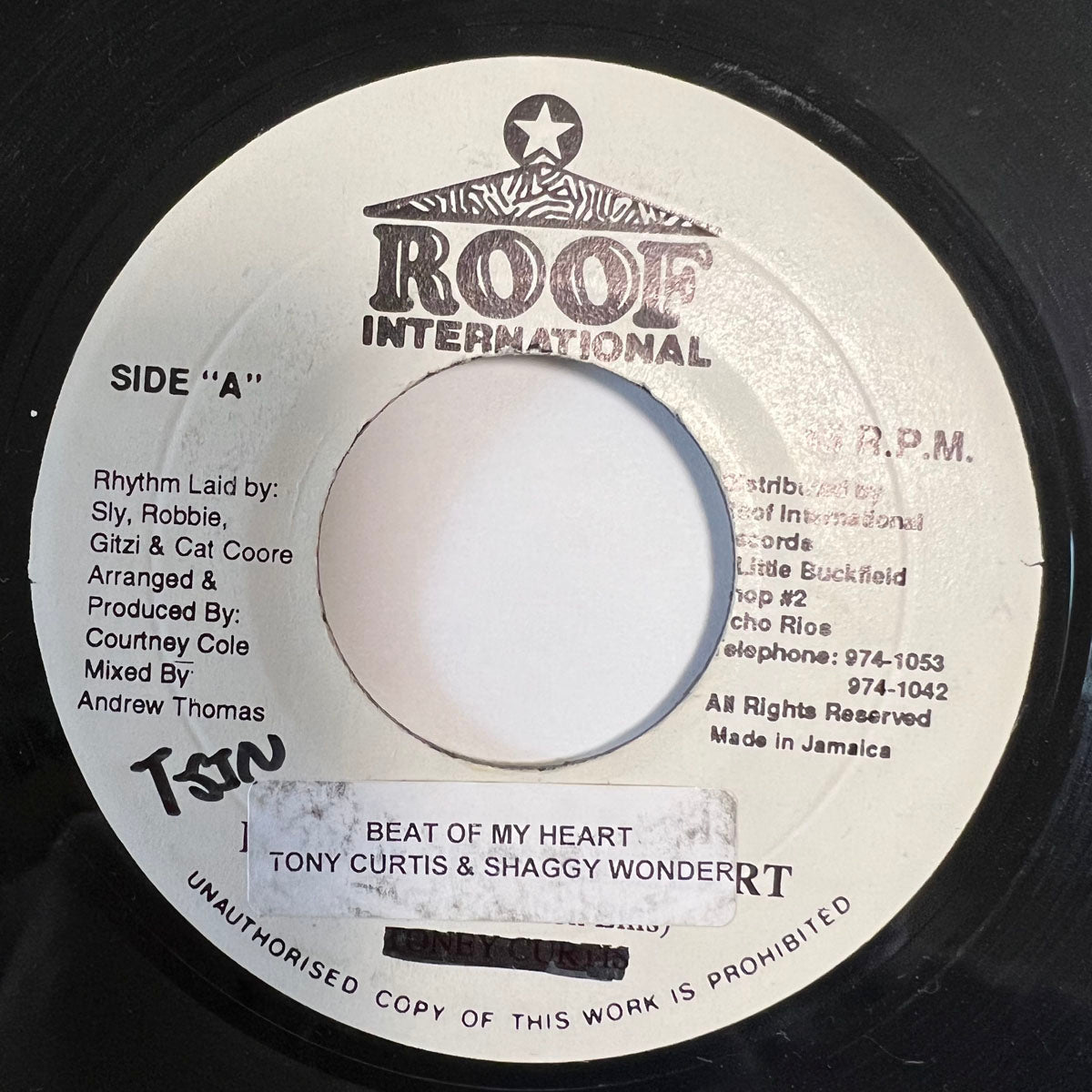 TONY CURTIS & SHAGGY WONDER / BEAT OF MY HEART