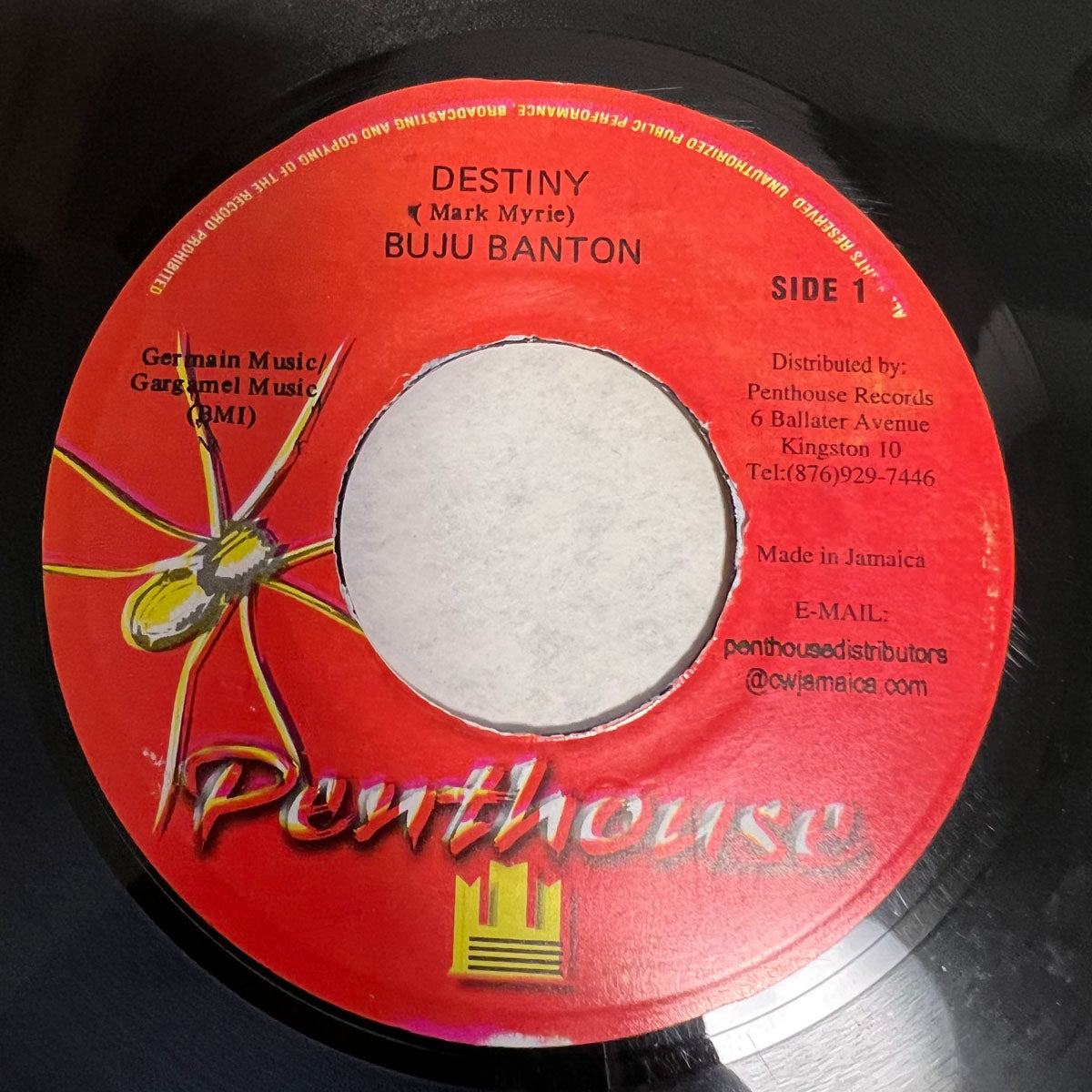 BUJU BANTON / DESTINY