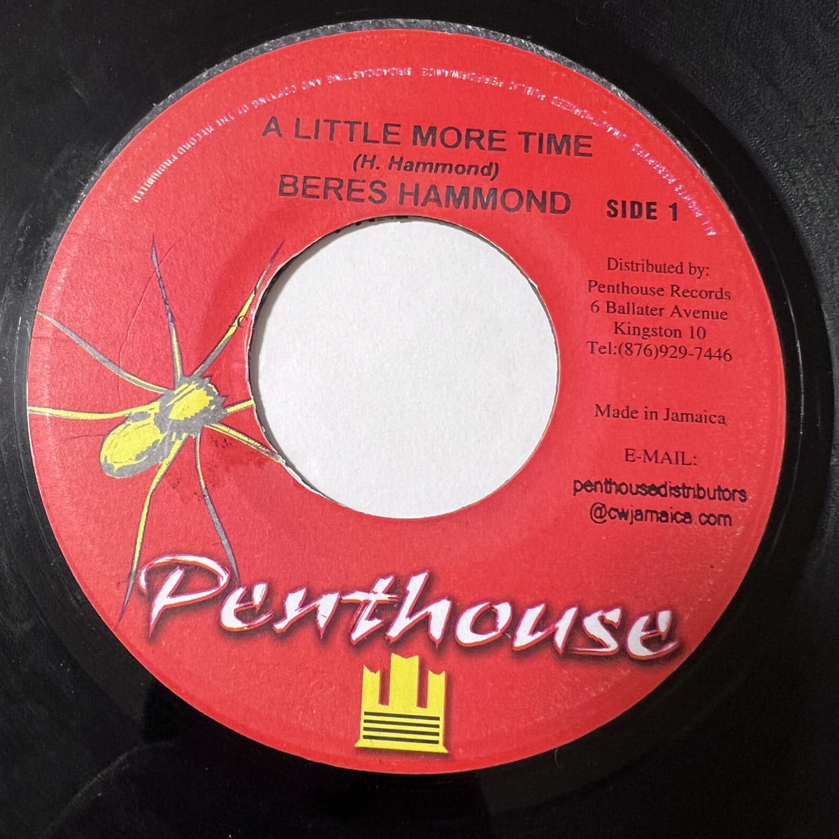 BERES HAMMOND & BUJU BANTON / A LITTLE MORE TIME