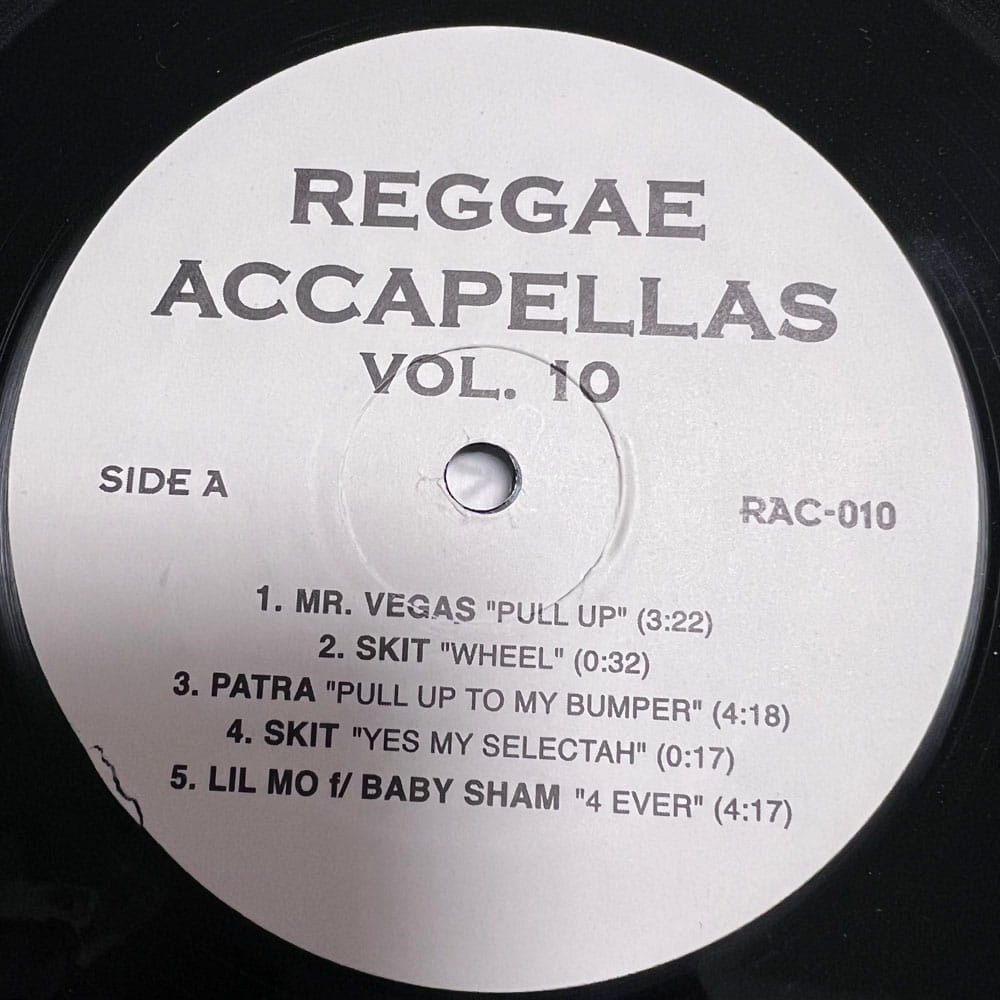 V.A. / REGGAE ACCAPELLAS VOL.10