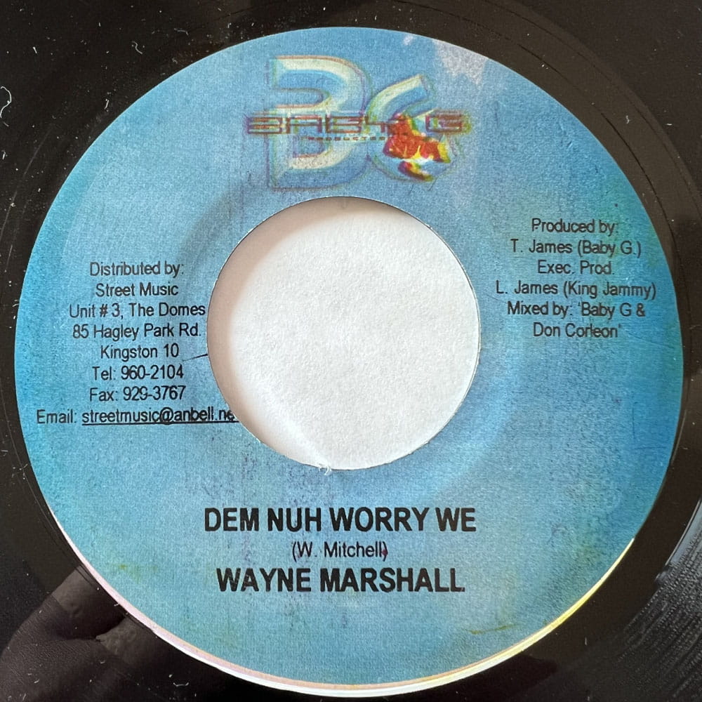 WAYNE MARSHALL / DEM NOW WORRY WE