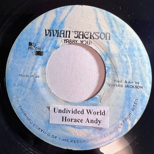 HORACE ANDY / UNDIVIDED WORLD