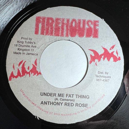 ANTHONY REDROSE / UNDER ME FAT THING