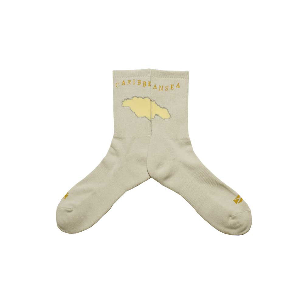 【新品】SOCKS - GUYDANCE / CARIB