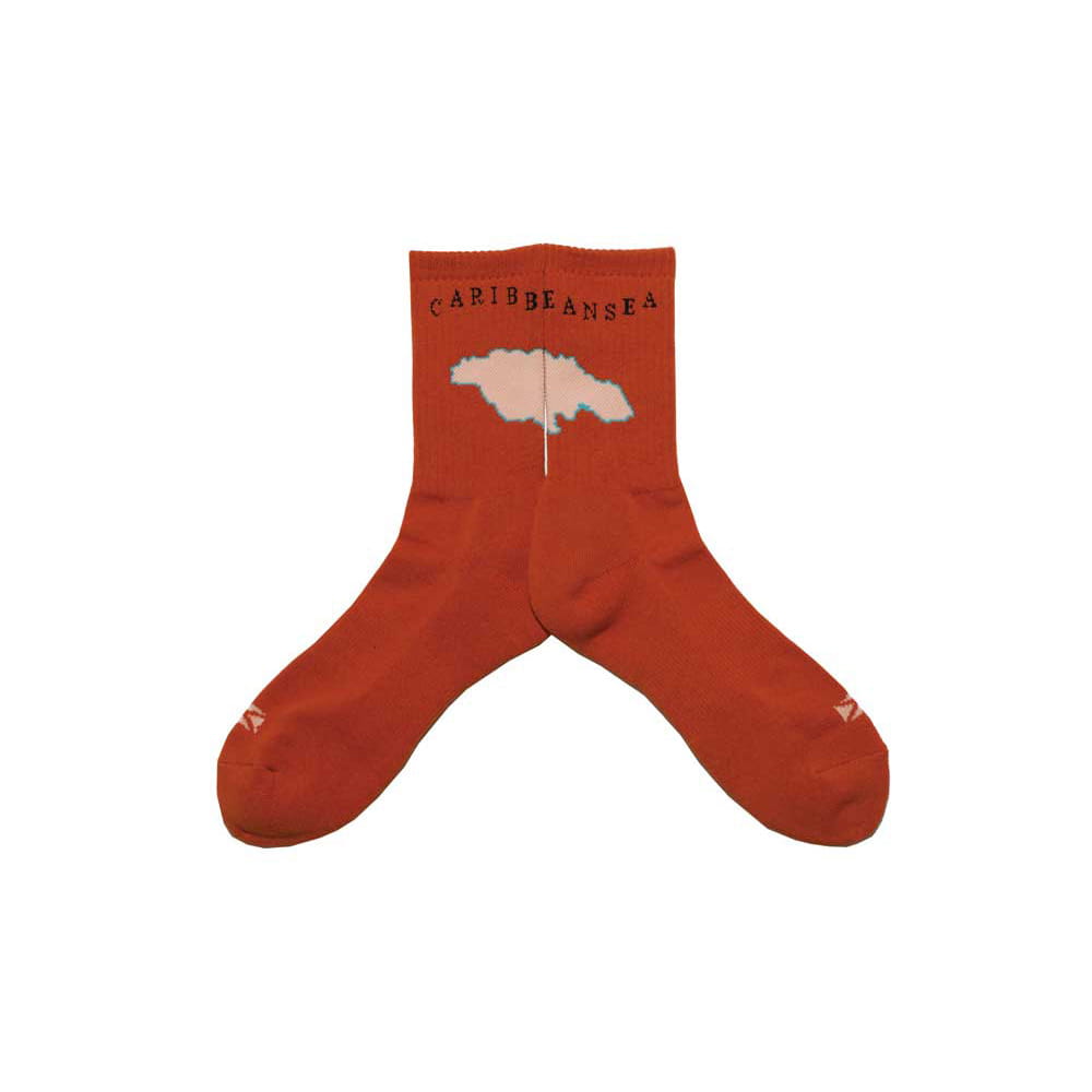 【新品】SOCKS - GUYDANCE / CARIB