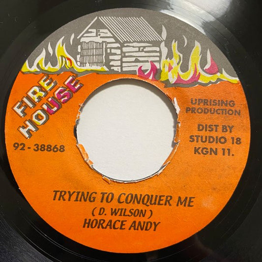 HORACE ANDY / TRYING TO CONQUER ME