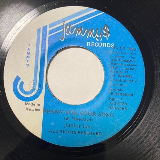 JUNIOR CAT / PENNY FOR YOUR SONGS