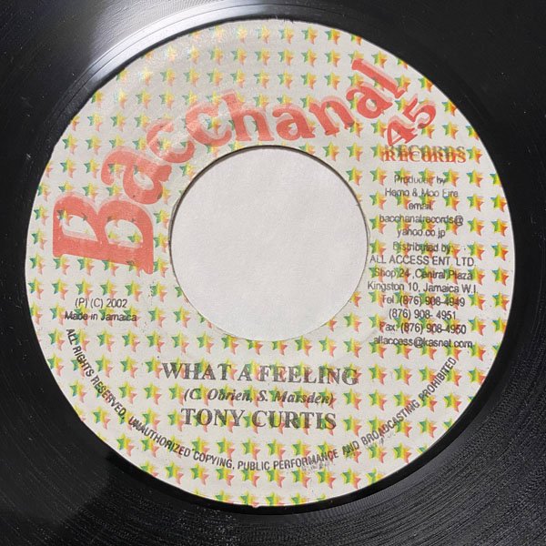 TONY CURTIS / WHAT A FEELING