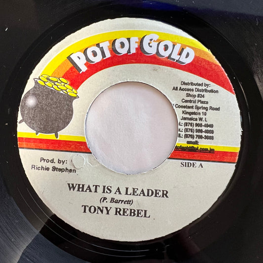 TONY REBEL / WHAT IS A LEADER