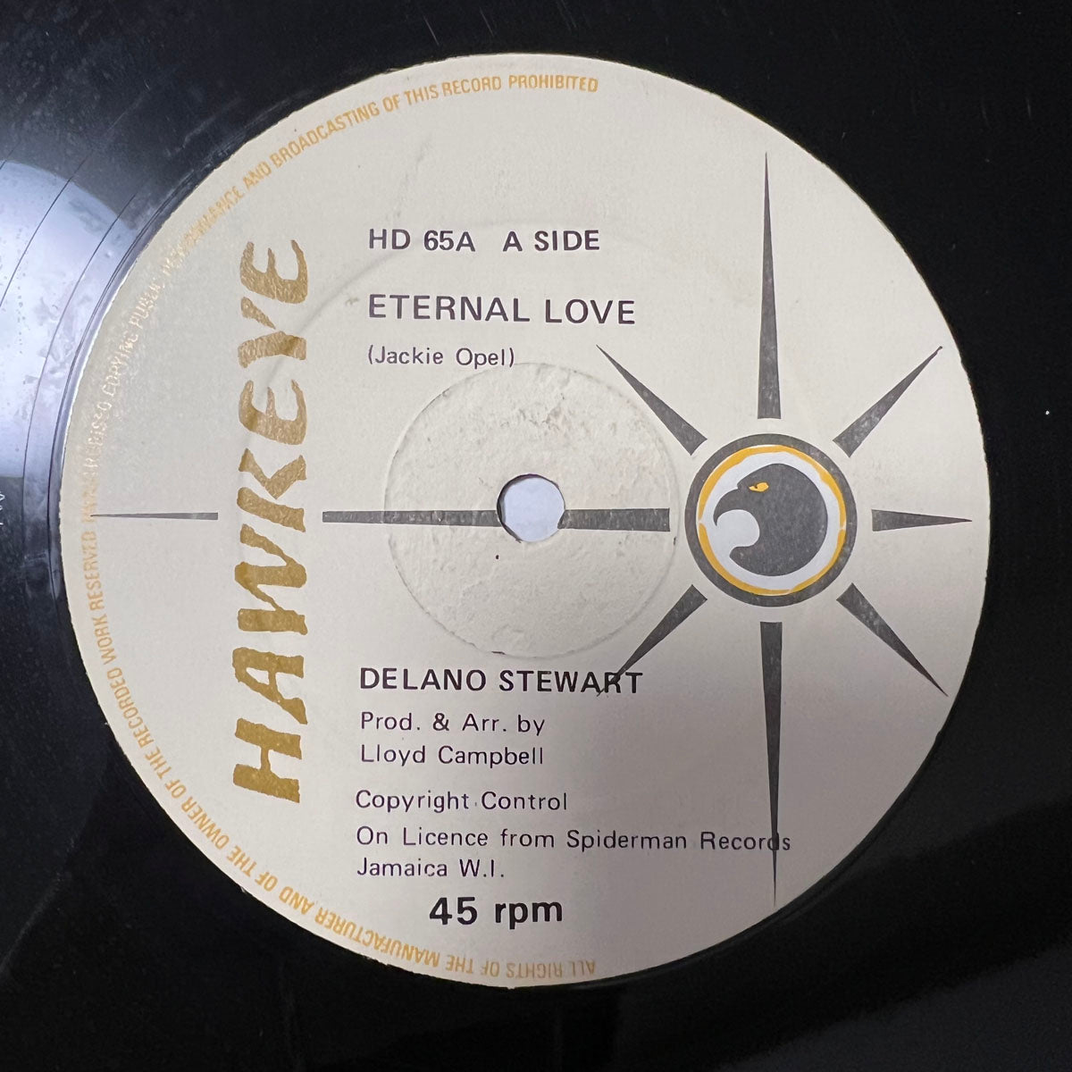 DELANO STEWART / ETERNAL LOVE