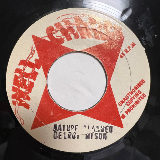 DELROY WILSON / NATURE PLANNED IT