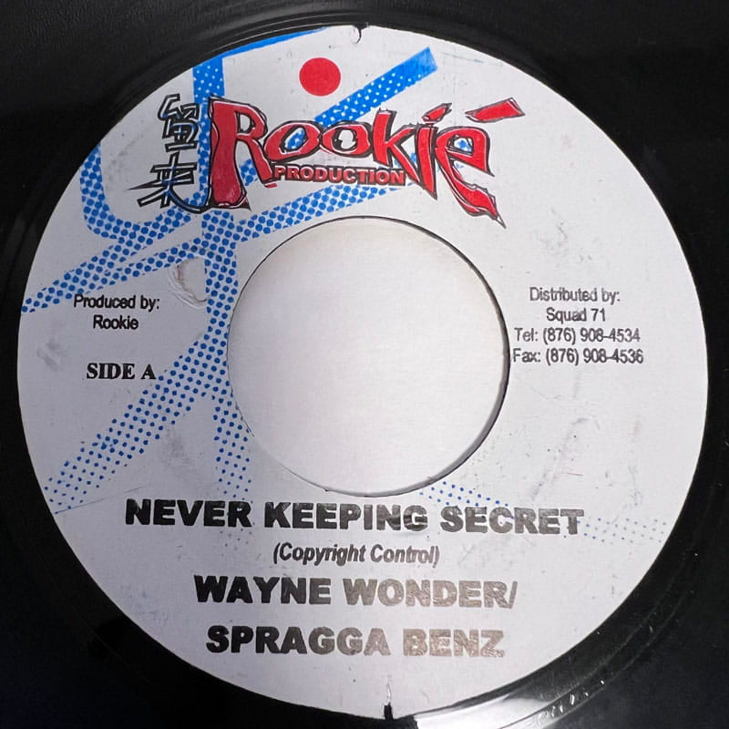 WAYNE WONDER & SPRAGGA BENZ / NEVER KEEPING SECRET