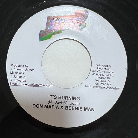 DON MAFIA & BEENIE MAN / IT'S BURNING