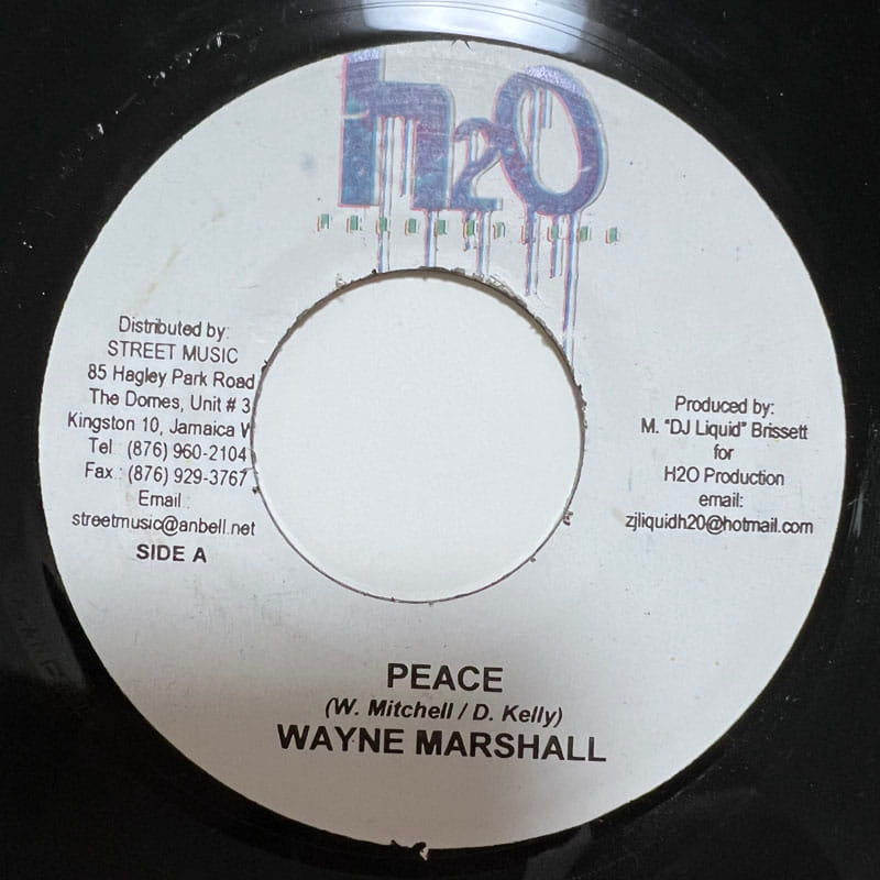 WAYNE MARSHALL / PEACE - TEFLON / FEEL THE VYBZ