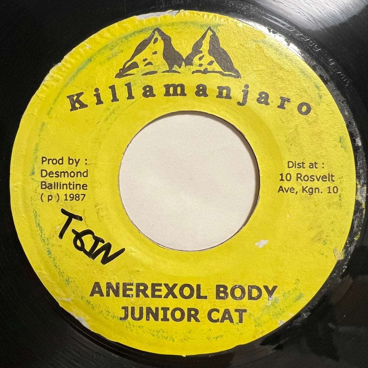 JUNIOR CAT / ANEREXOL BODY