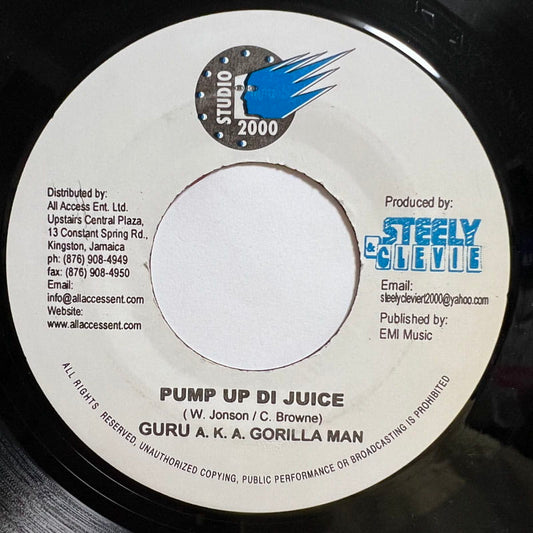 GURU / PUMP UP DI JUICE - MR. G / PUMP UP