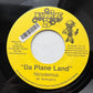 NICO DEMUS / DA PLANE LAND