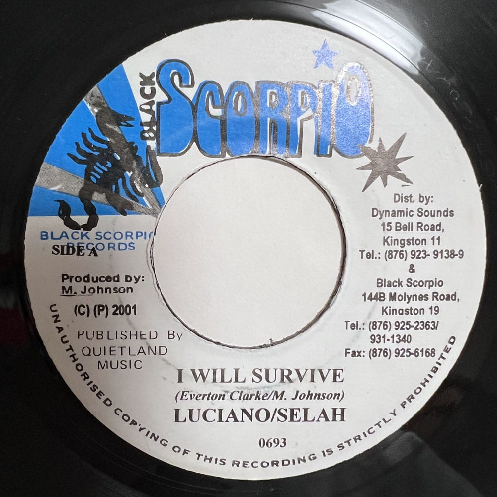 LUCIANO & SELAH / I WILL SURVIVE