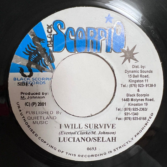 LUCIANO &amp; SELAH / I WILL SURVIVE