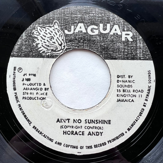 HORACE ANDY / AIN'T NO SUNSHINE