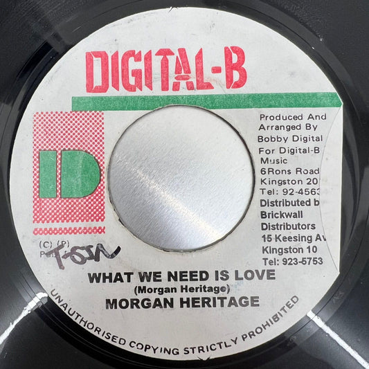MORGAN HERITAGE / WHAT WE NEED IS LOVE
