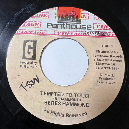 BERES HAMMOND / TEMPTED TO TOUCH