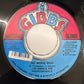 GEORGE NOOKS / TRIBAL WAR