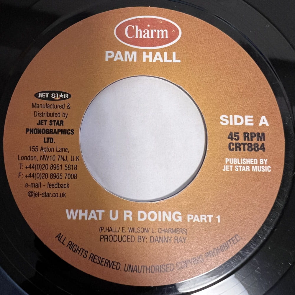 PAM HALL / WHAT UR DOING