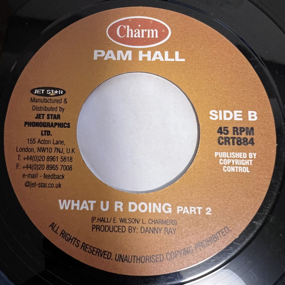 PAM HALL / WHAT UR DOING