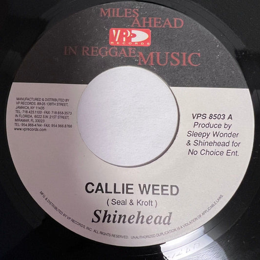 SHINEHEAD / CALLIE WEED - OLIVIA