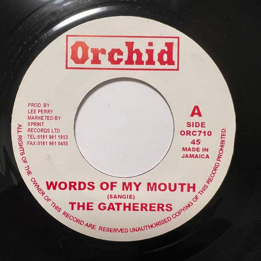 THE GATHERERS / WORDS OF MY MOUTH